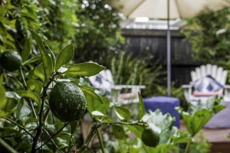 Photo of property in 4/42 Sheridan Drive, New Lynn, Auckland, 0600