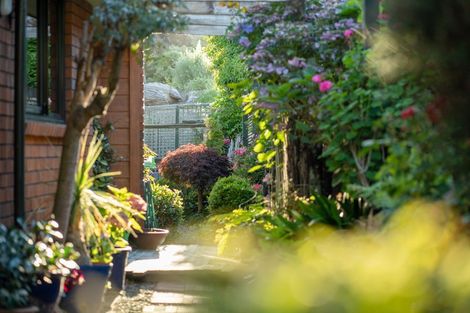 Photo of property in 42 Guildford Drive, Paraparaumu, 5032