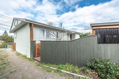 Photo of property in 45 Mosston Road, Castlecliff, Whanganui, 4501