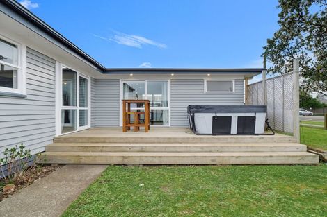 Photo of property in 95 Stanford Street North, Ashhurst, 4810