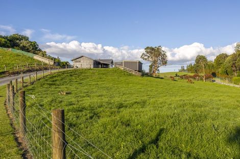 Photo of property in 44b Crosland Road, South Head, 0874