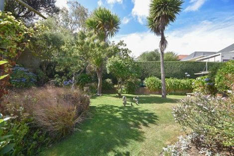 Photo of property in 53 Signal Hill Road, Opoho, Dunedin, 9010