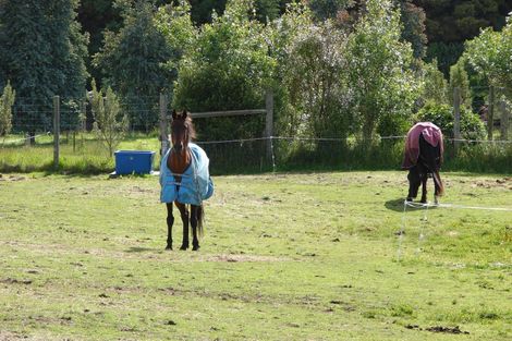 Photo of property in 242 Oreti Road, Otatara, Invercargill, 9879