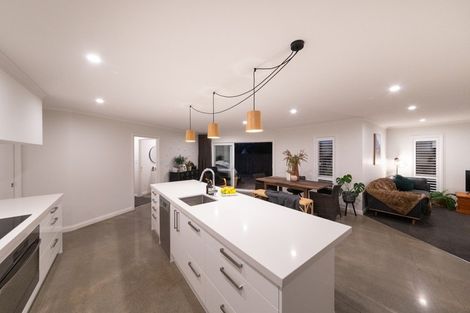 Photo of property in 68b Manson Street, Terrace End, Palmerston North, 4410