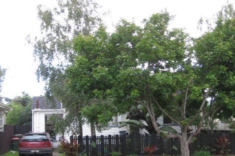 Photo of property in 14 Newcastle Terrace, Mount Albert, Auckland, 1025
