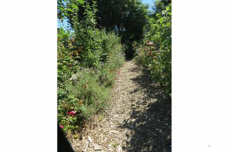 Photo of property in 36 Archer Street, Parkside, Timaru, 7910