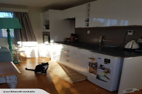 Photo of property in 52 Tuarangi Road, Grey Lynn, Auckland, 1021