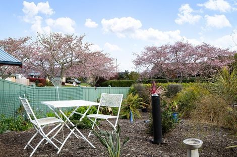 Photo of property in 4 Lansdowne Road, Katikati, 3129