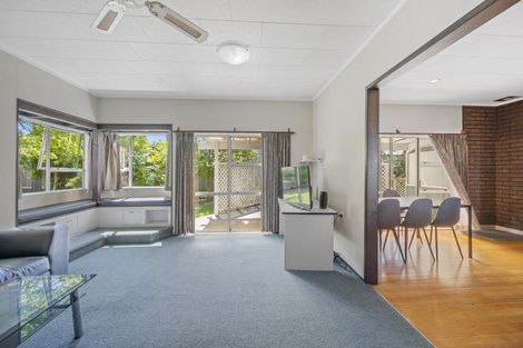 Photo of property in 609 Lumsden Road, Akina, Hastings, 4122