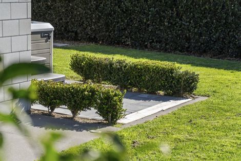 Photo of property in 17 Charlotte Drive, Omokoroa, 3114