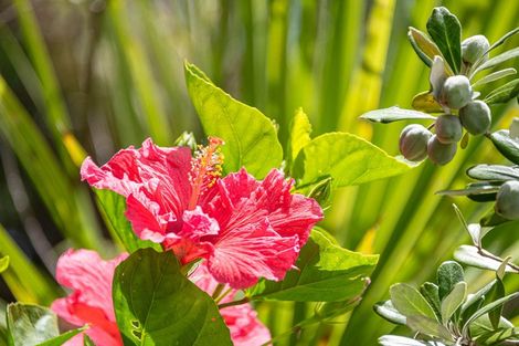 Photo of property in 35 Gerontius Lane, Snells Beach, 0920