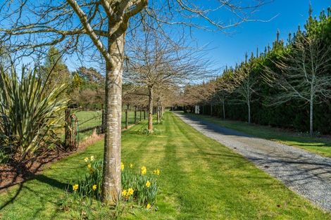 Photo of property in 161 Hororata Road, Hororata, Darfield, 7572