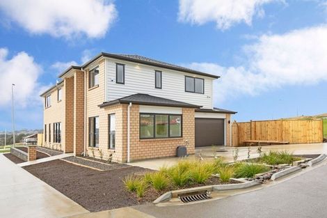 Photo of property in 103 Thomas Road, Flat Bush, Auckland, 2019
