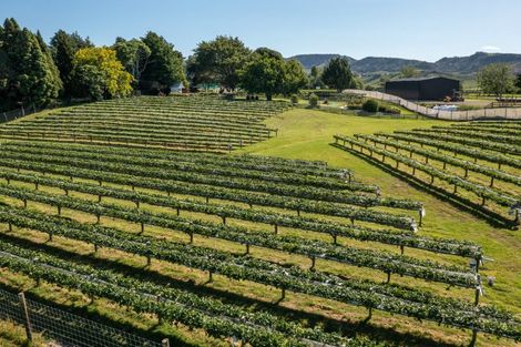 Photo of property in 529b Te Puke Highway, Te Puke, 3187