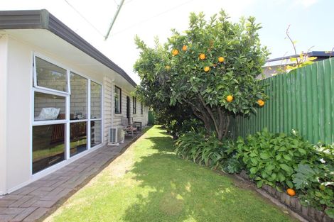 Photo of property in 175 Middle Renwick Road, Springlands, Blenheim, 7201