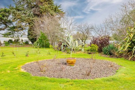 Photo of property in 19 Consitt Street, Takapau, 4203