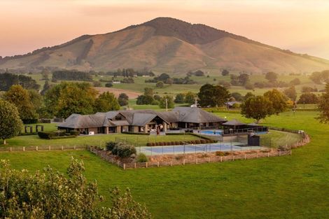 Photo of property in 325 Candy Road, Pokuru, Te Awamutu, 3875