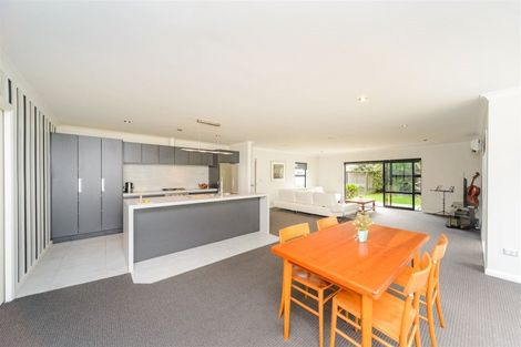 Photo of property in 12a Conway Place, Terrace End, Palmerston North, 4410