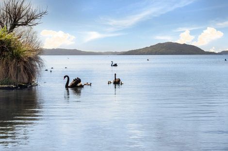 Photo of property in 34 Bennetts Road, Koutu, Rotorua, 3010