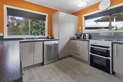 Photo of property in 18 Frances Street, Tirau, 3410