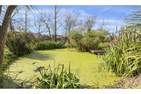 Photo of property in 188 Hepburn Creek Road, Warkworth, 0981