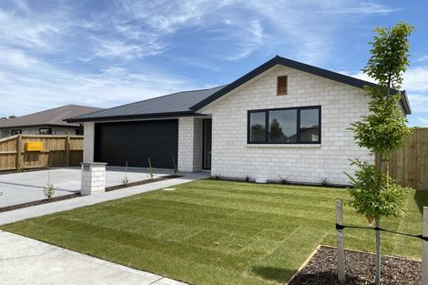 Photo of property in 20 Grimwood Street, Woodend, 7610