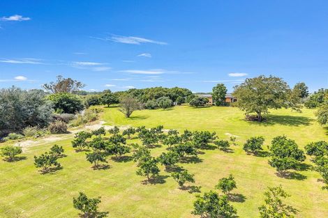 Photo of property in 23 Collins Lane, Te Puke, 3187