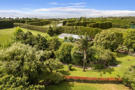 Photo of property in 24 Tuapiro Road, Tahawai, Katikati, 3170