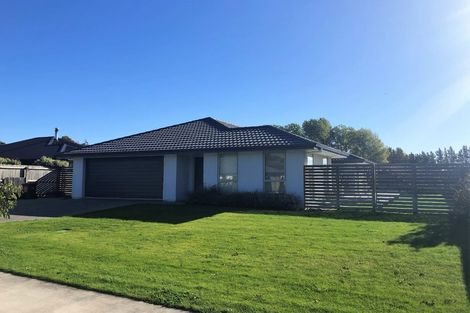 Photo of property in 12 Maeburn Street, Witherlea, Blenheim, 7201