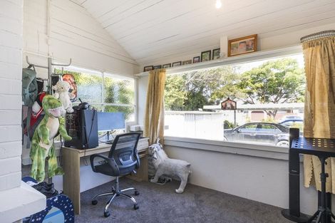 Photo of property in 53 Limbrick Street, Terrace End, Palmerston North, 4410
