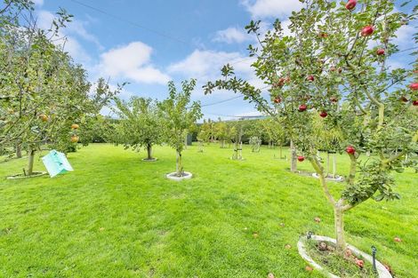 Photo of property in 279 Cones Road, Loburn, Rangiora, 7472