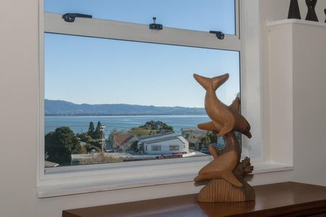 Photo of property in 9 Coppelia Avenue, Omokoroa, 3114