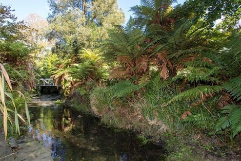 Photo of property in 19 Glandovey Road, Fendalton, Christchurch, 8052