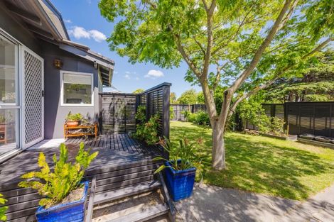 Photo of property in 173 Georges Drive, Napier South, Napier, 4110