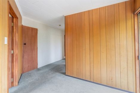 Photo of property in 20 Garden Street, Lumsden, 9730