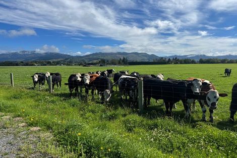 Photo of property in 34 Harewood Road, Oxford, 7430