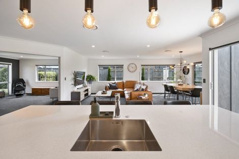 Photo of property in 42 Accolade Street, Maewa, Feilding, 4702