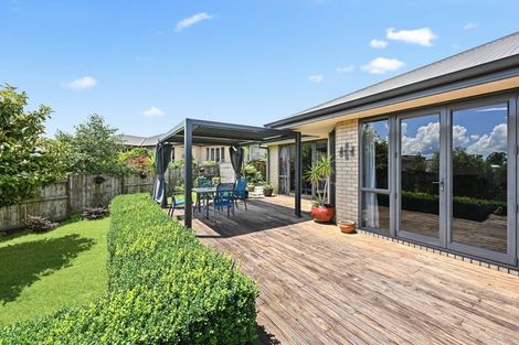 Photo of property in 13 Alford Place, Huntington, Hamilton, 3210