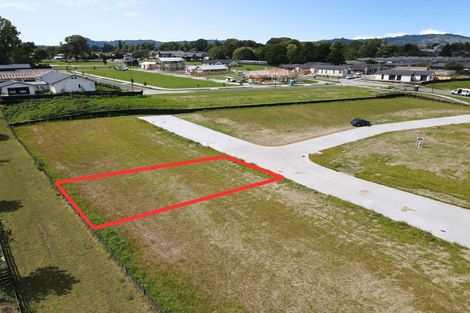 Photo of property in 11 Te Ia Terrace, Cambridge, 3434