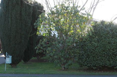 Photo of property in 72 Snell Drive, Chartwell, Hamilton, 3210