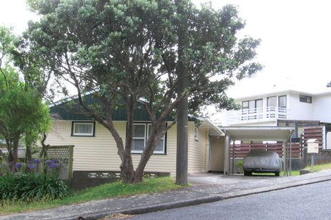 Photo of property in 24 Montreal Grove, Kingston, Wellington, 6021