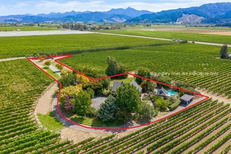 Photo of property in 414 Rapaura Road, Rapaura, Blenheim, 7273