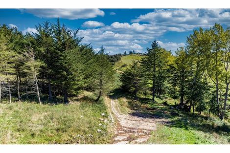 Photo of property in 163 Mill Road, Oxford, 7430