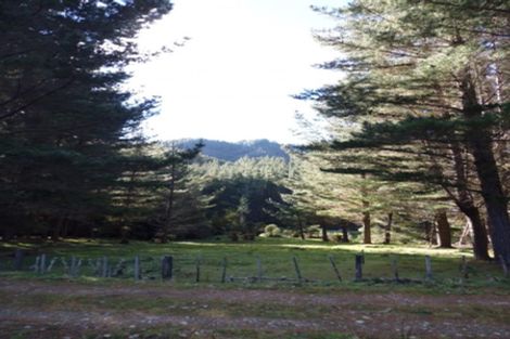 Photo of property in 1677 Takaputahi Road, Toatoa, Opotiki, 3197