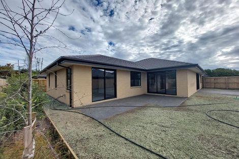 Photo of property in 170 Hendersons Road, Hoon Hay, Christchurch, 8025