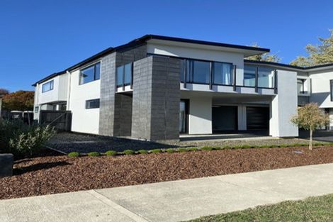 Photo of property in 2b Astelia Place, Richmond, 7020