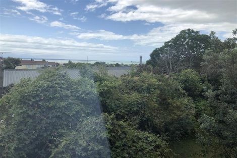 Photo of property in 7 Primrose Place, Richmond, 7020