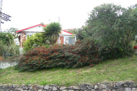 Photo of property in 453 South Road, Calton Hill, Dunedin, 9012