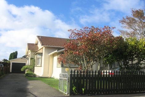 Photo of property in 41 Shamrock Street, Takaro, Palmerston North, 4412