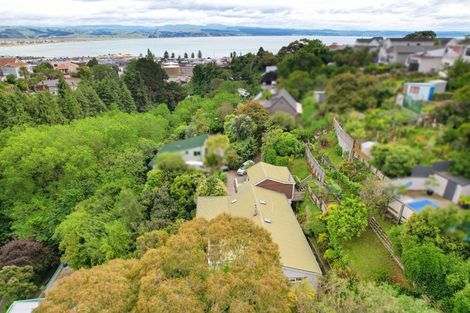 Photo of property in 21 Burns Road, Hospital Hill, Napier, 4110